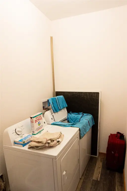 Picture 15