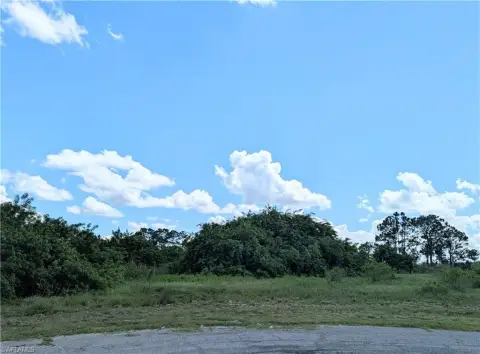 Residential Lot in Labelle, FL