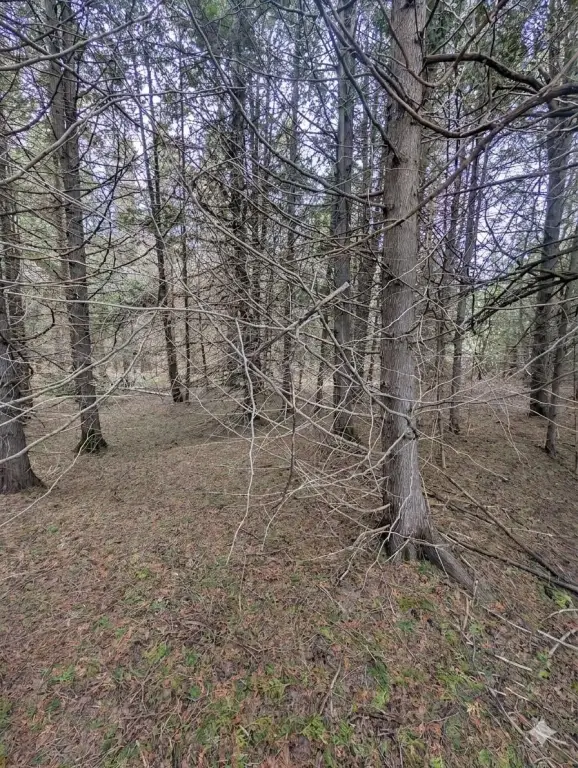 Picture 3