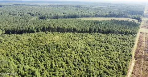 Wooded Hunting Land