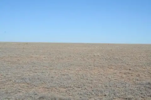 Land For Sale, Bernardo, NM