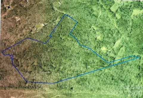 Mature Timber Hunting Land