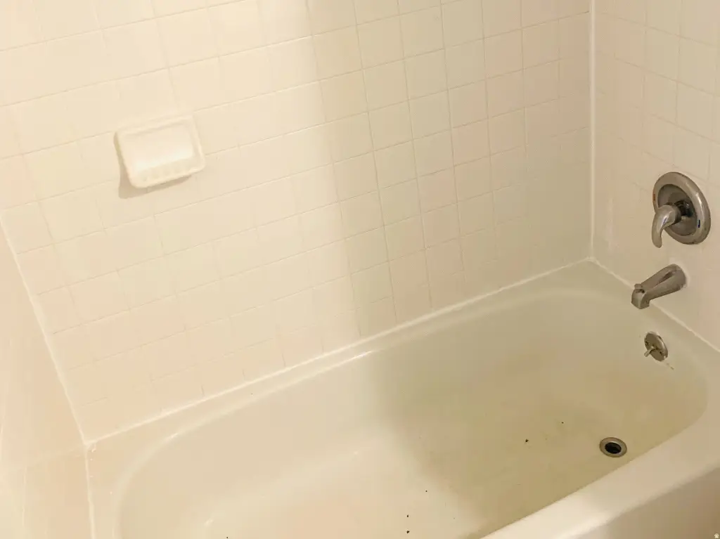 Picture 25