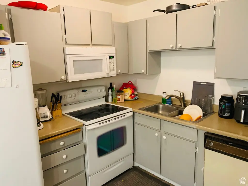 Picture 16