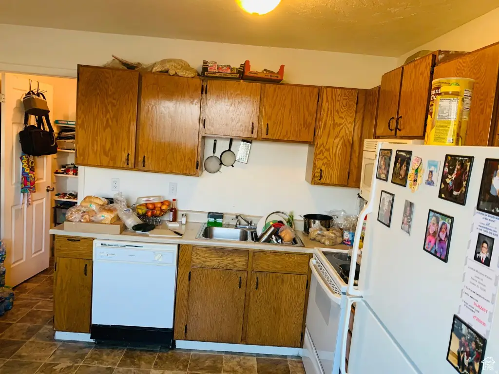 Picture 20