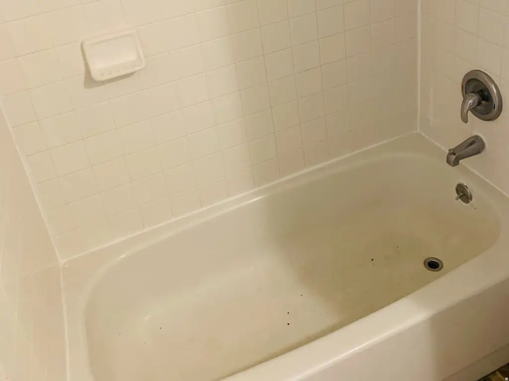 Picture 25