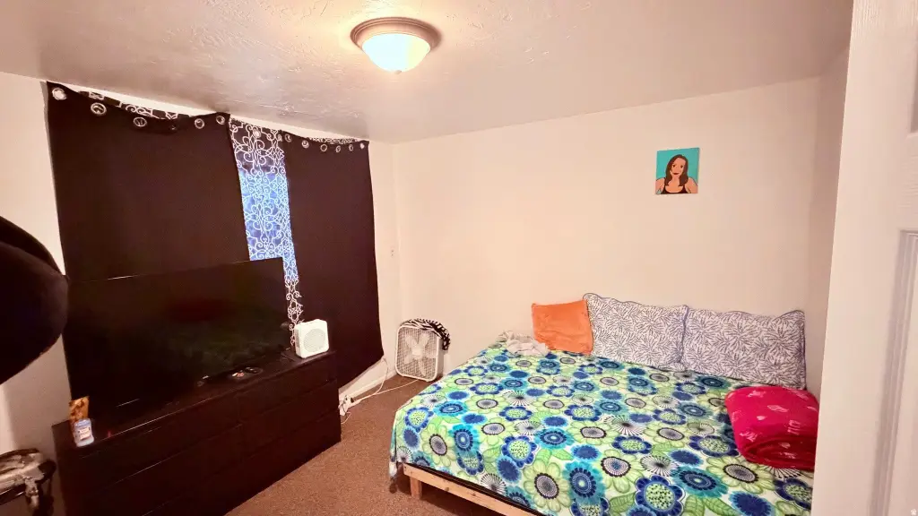 Picture 28
