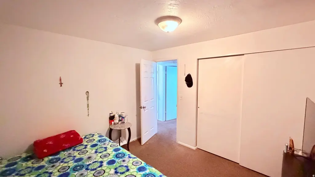 Picture 29