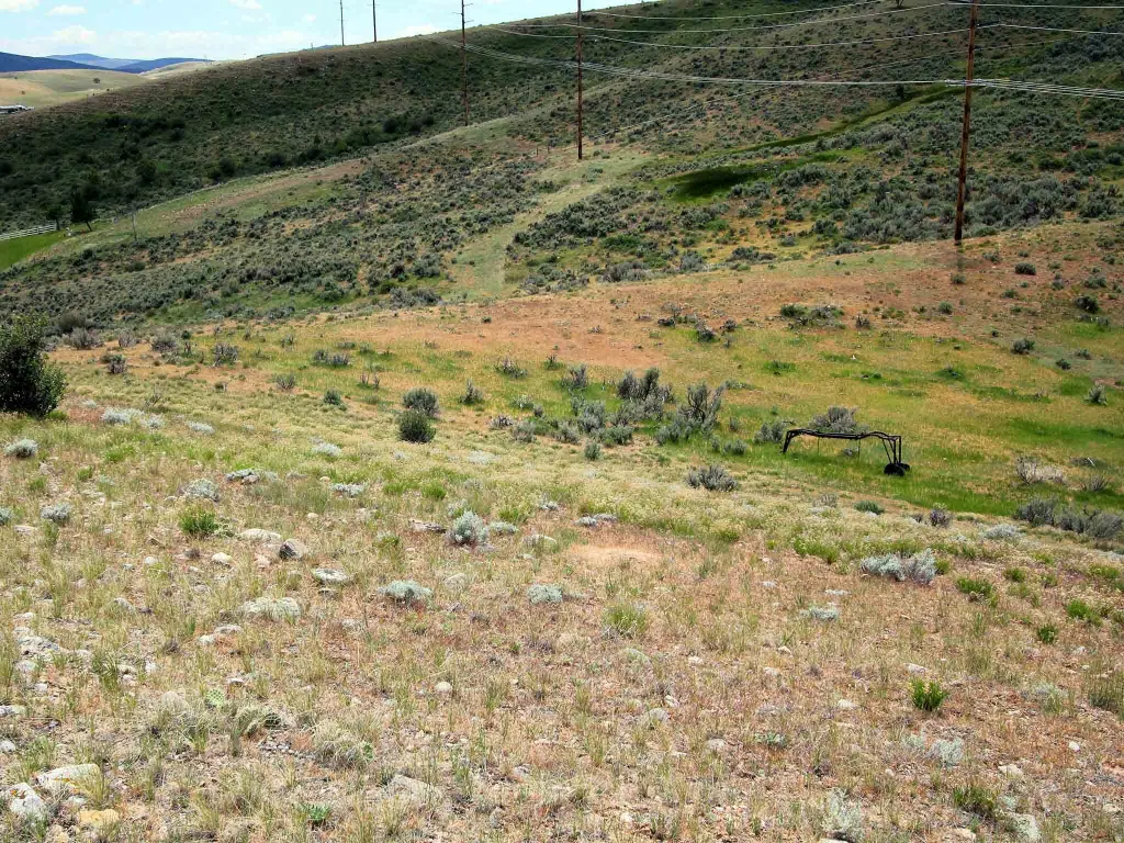Picture 19