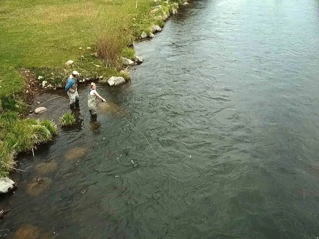 Picture 11