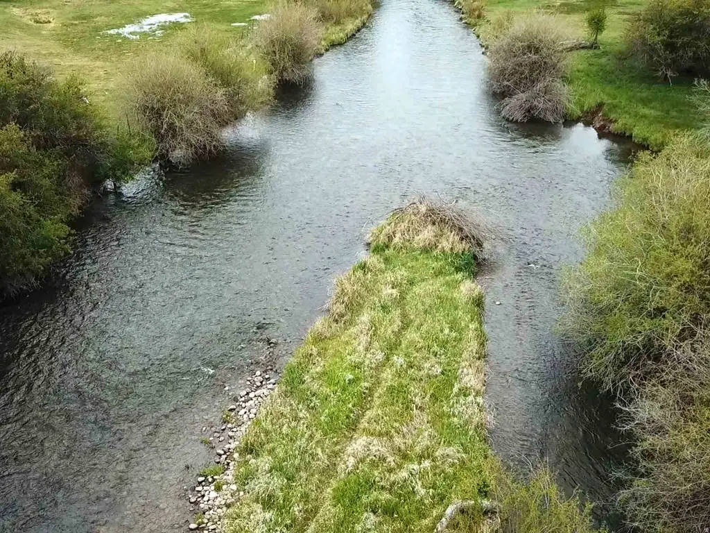 Picture 9