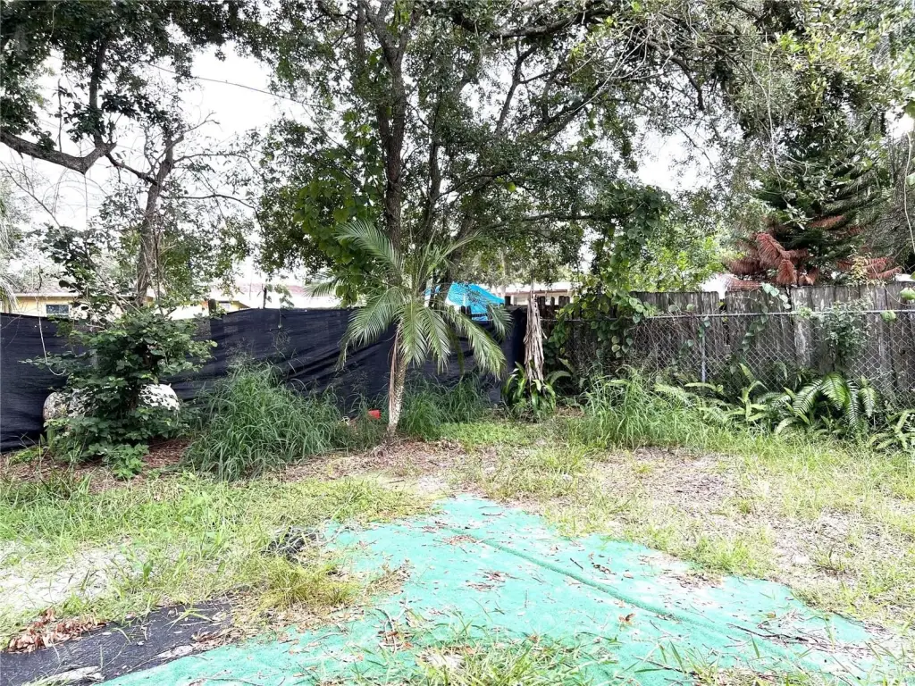 Picture 21