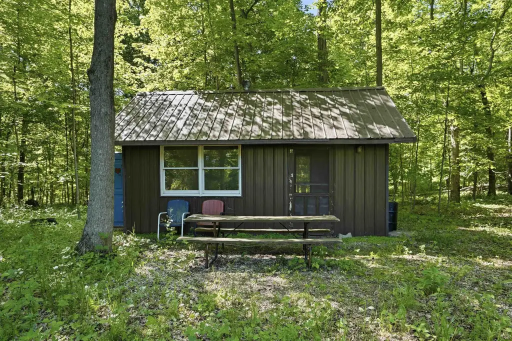 Picture 9