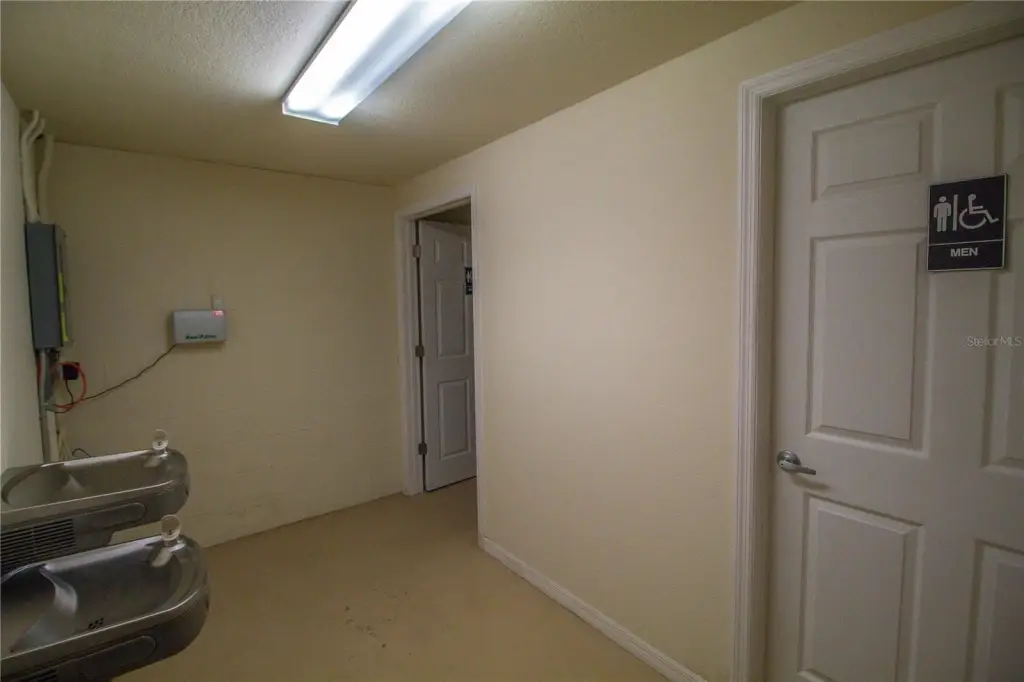 Picture 7