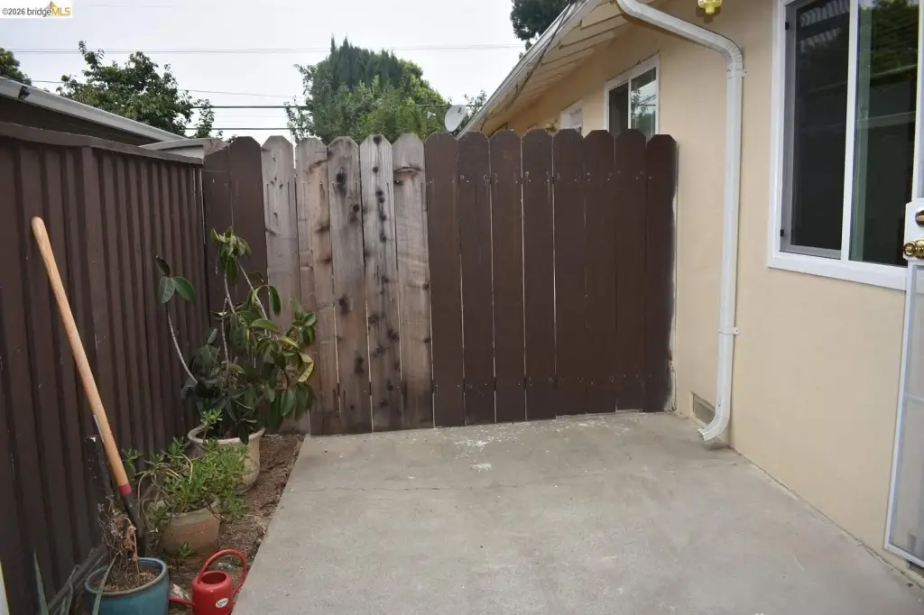 Picture 16