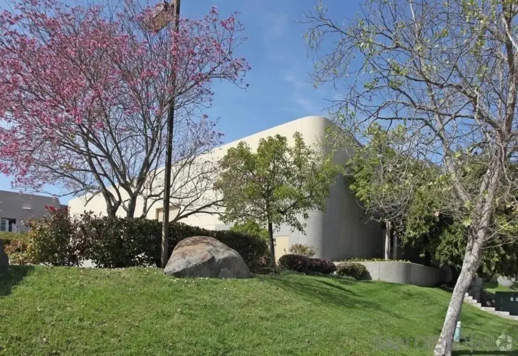 Picture 3