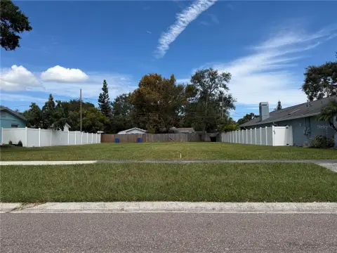 Oversized Lot in St. Petersburg