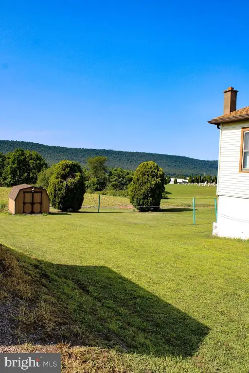 Picture 5