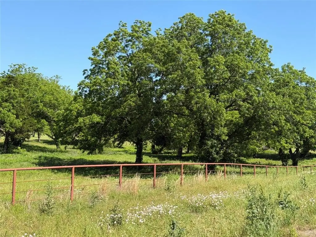 Picture 14