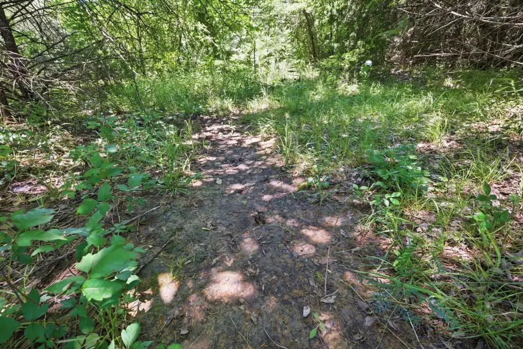 Picture 28