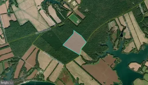 47 Acres of Woodland Retreat