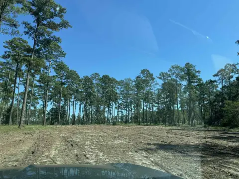 Acreage Near Brookeland, Texas