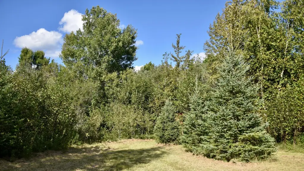 Picture 25
