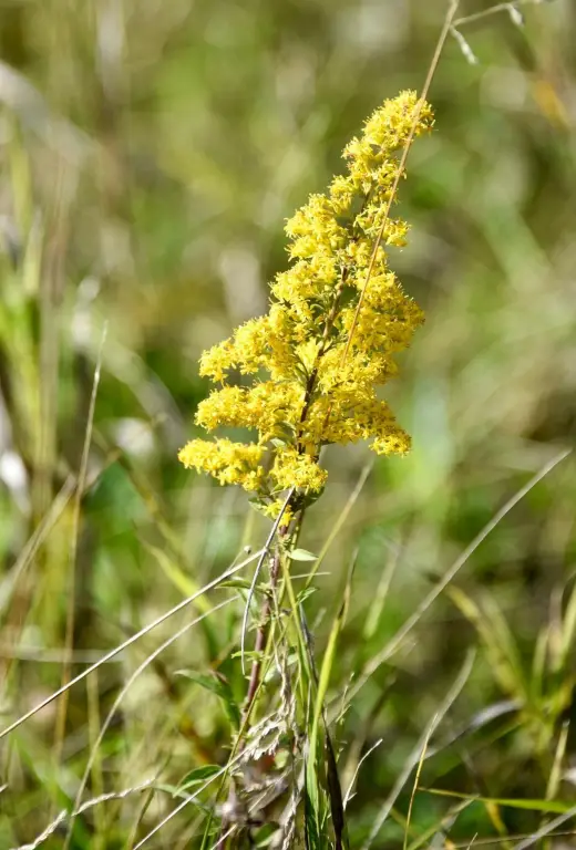 Picture 45