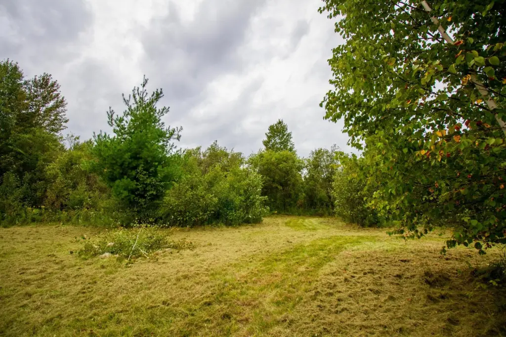 Picture 24