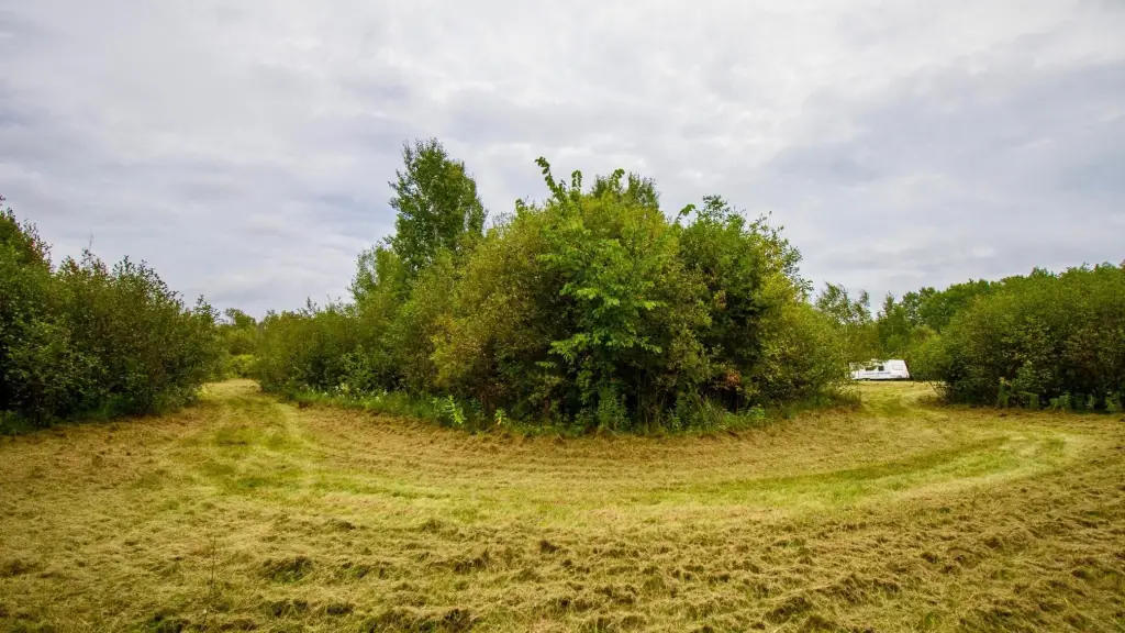 Picture 16