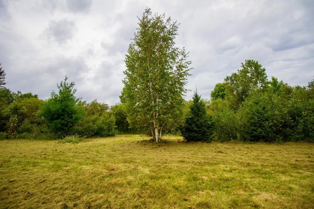 Picture 23