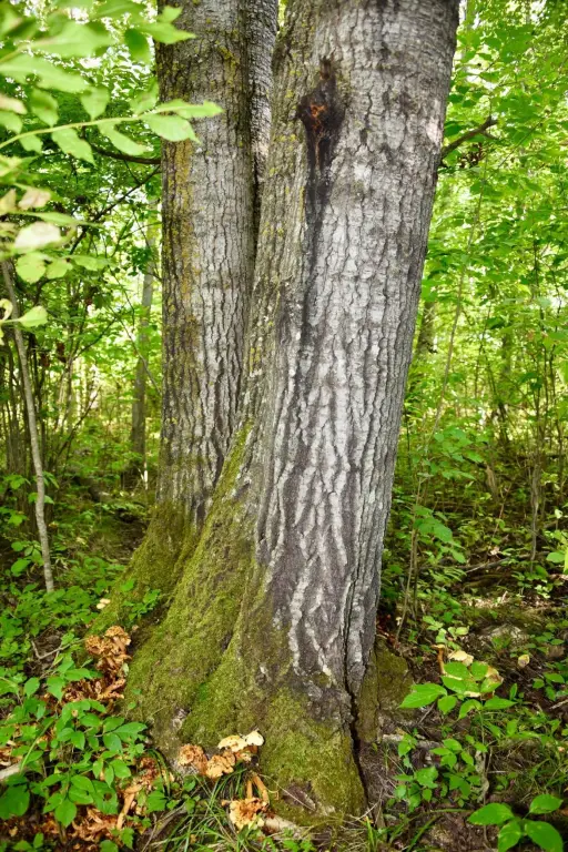 Picture 35
