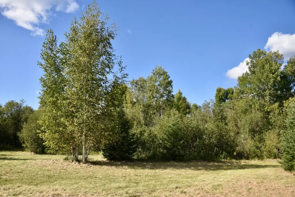 Picture 22