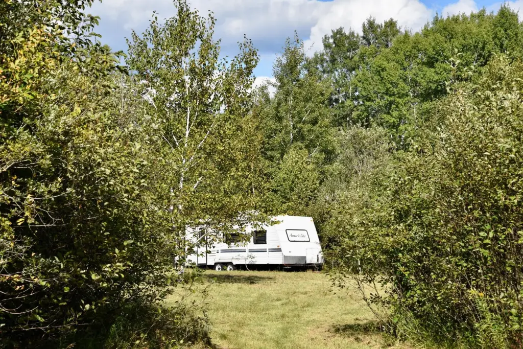 Picture 20