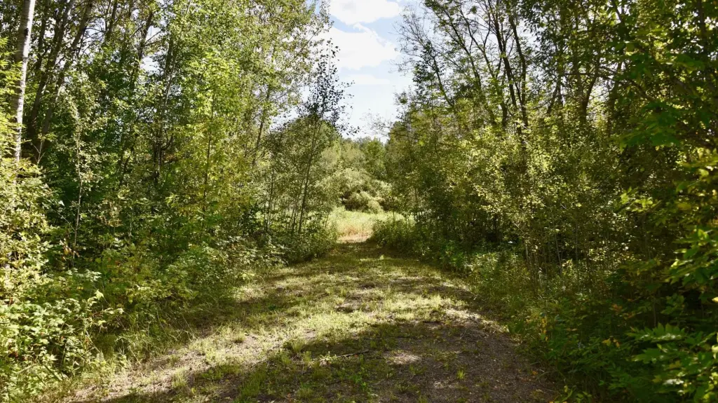 Picture 43