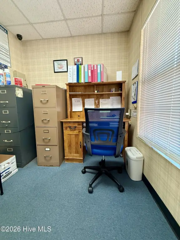 Picture 31