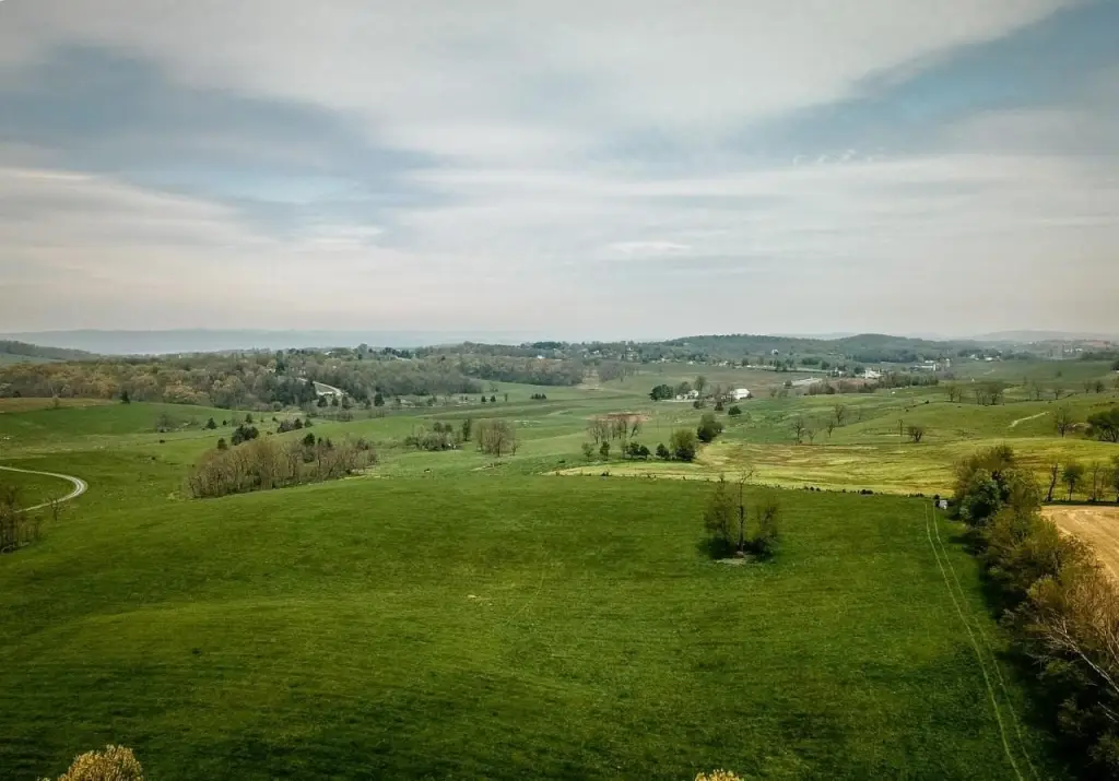 Picture 9