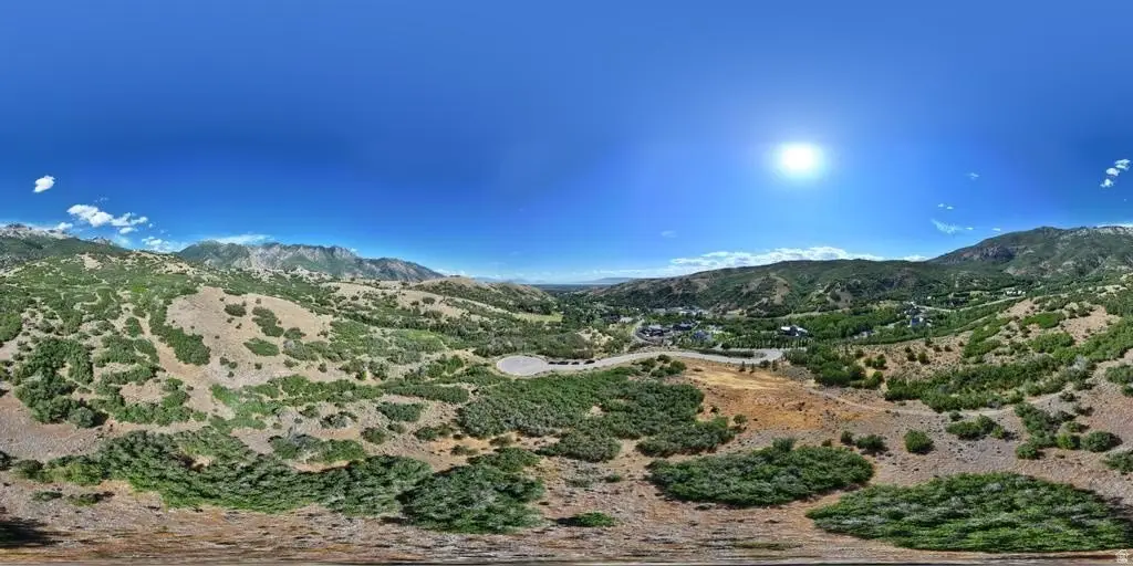 Picture 18