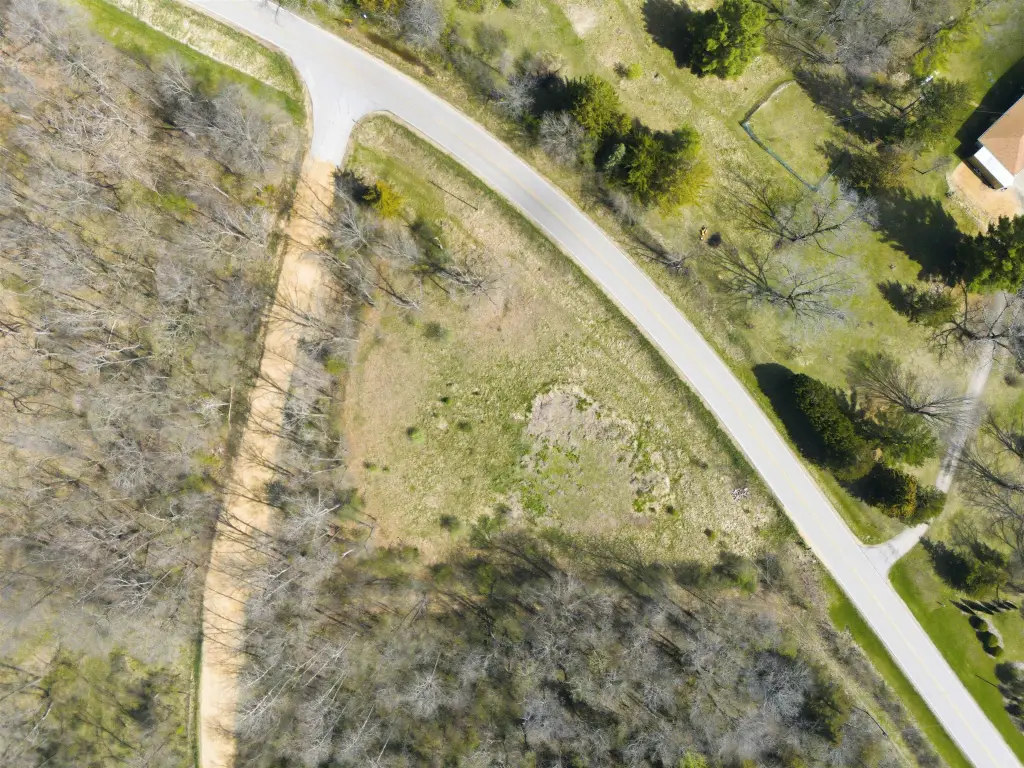 Picture 5