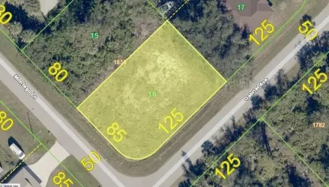 Cleared Corner Lot in Port Charlotte