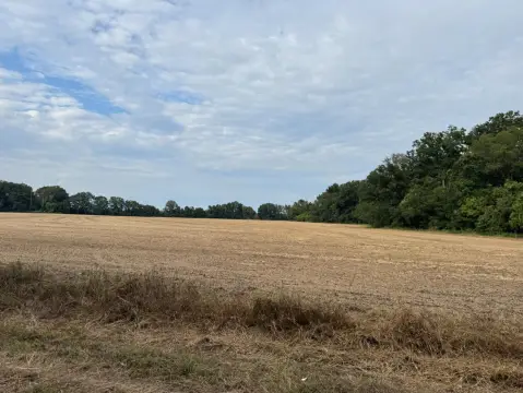 Edwards, MS Vacant Land