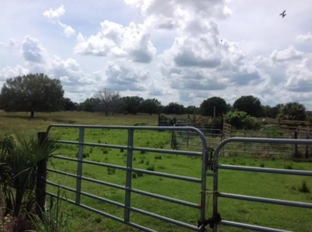 Picture 5