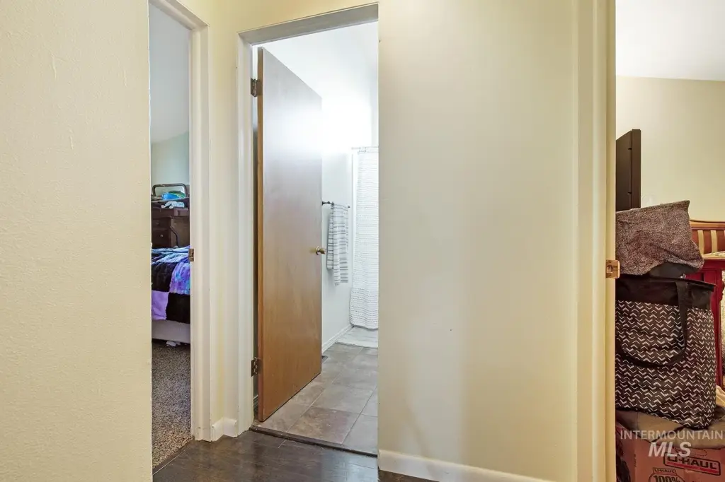 Picture 8