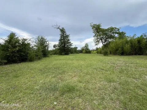 Cleared Land Ready for Development