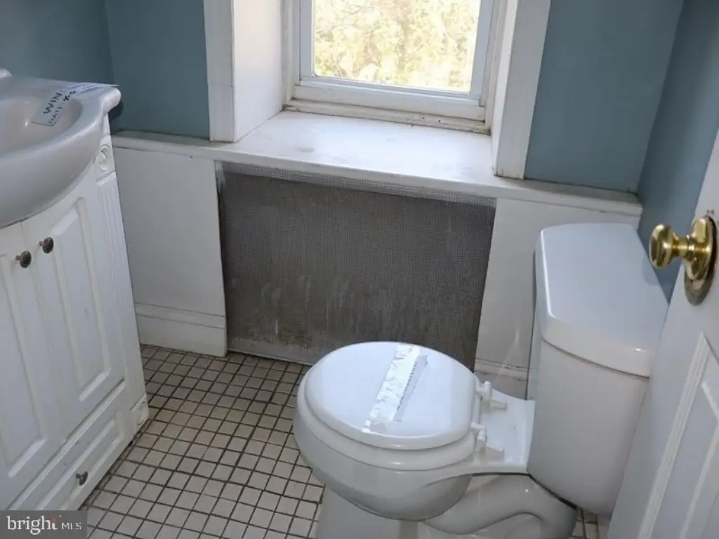 Picture 17