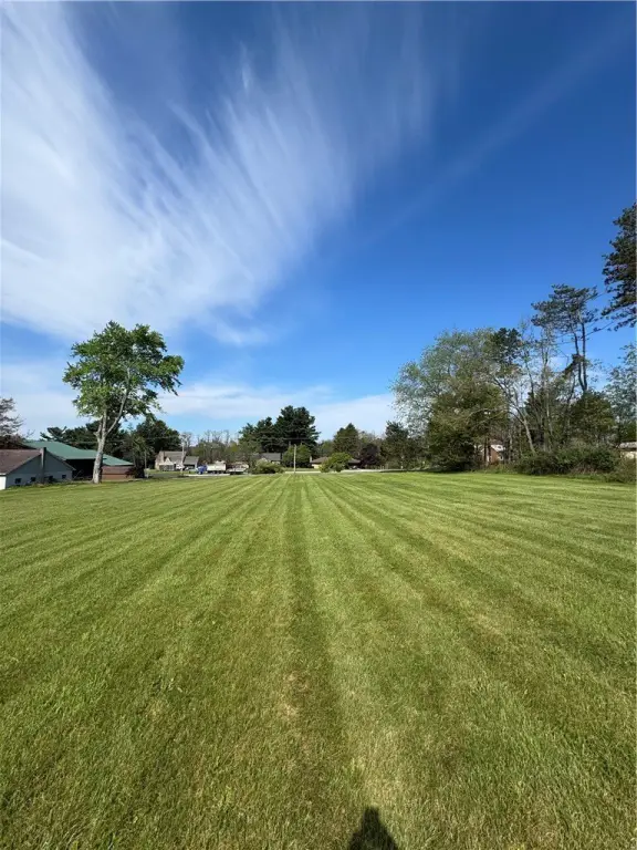 Picture 3