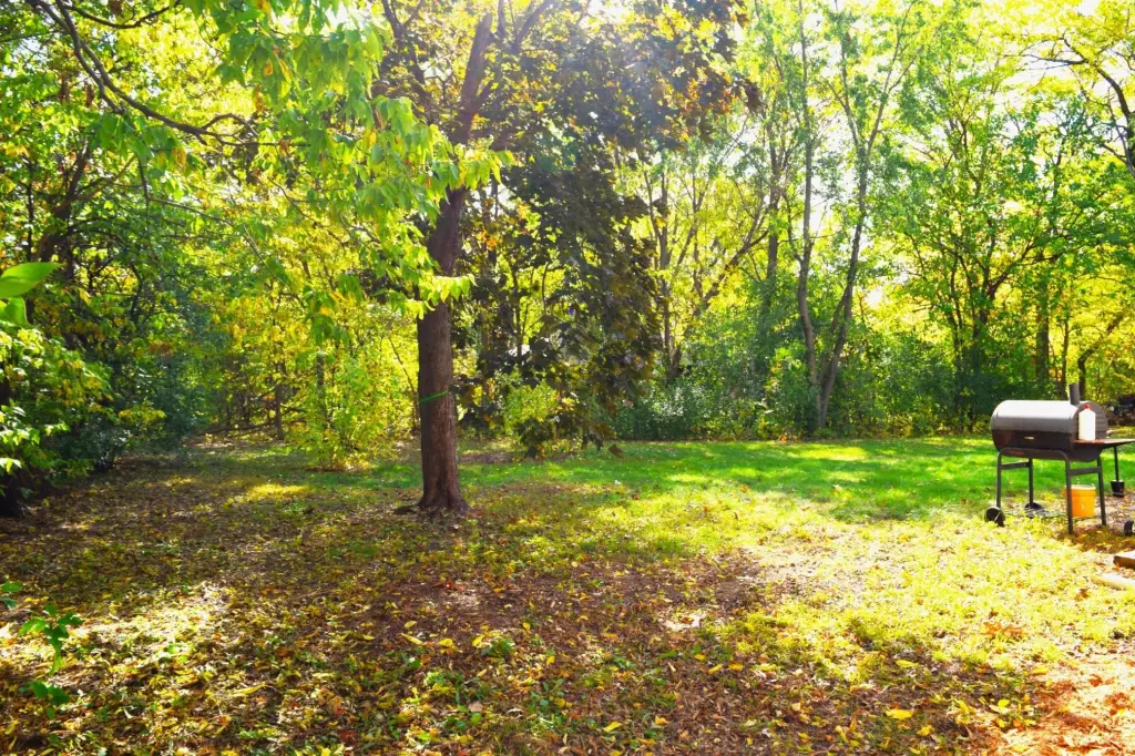 Picture 33