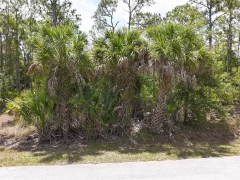 Residential Lot in Tropical Gulf