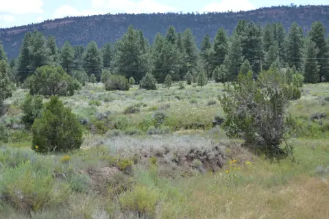 Land in Ramah, New Mexico