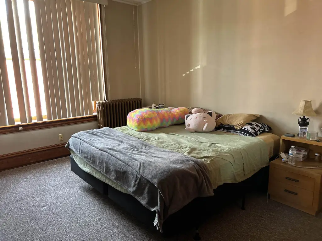 Picture 11